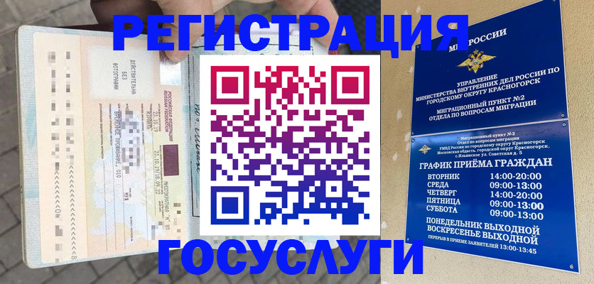 временная регистрация поиск в Зеленогорске