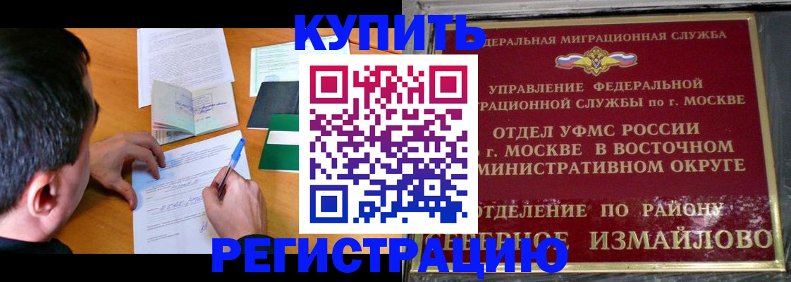 прописка 2025 в Зеленогорске